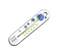 Термометр Сувенир П-1 (Стеклоприбор)