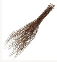 Метла березовая ЛЮКС