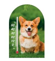 Термометр Сувенир 