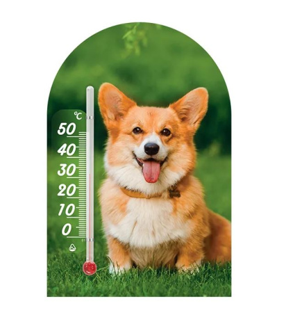 Термометр Сувенир 