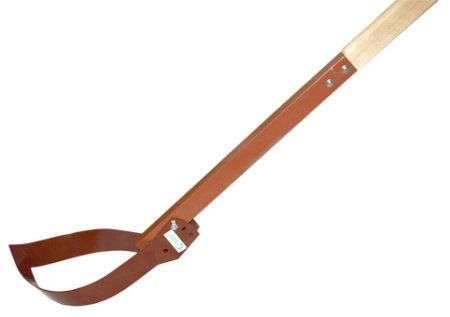 Плоскорез  Стриж большой